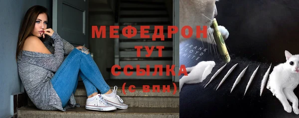 СК Алексин