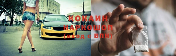 хмурый Сосновка