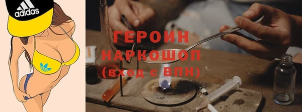 СК Алексин