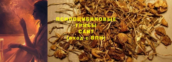 сатива Алексеевка