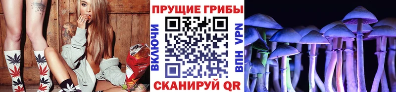 Галлюциногенные грибы мицелий  Дно 